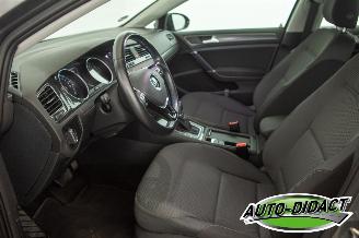 Volkswagen e-Golf 36 kWh Navi Camera Clima picture 25