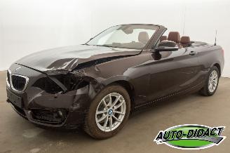  BMW 2-serie Cabrio 218i Navi Leder Airco 2015/7