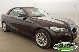 BMW 2-serie Cabrio 218i Navi Leder Airco picture 6