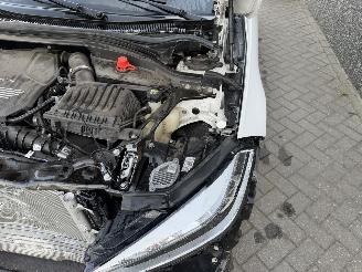 BMW 1-serie 118I High Executive picture 39