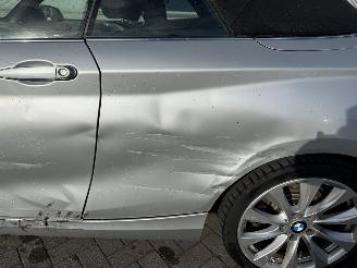 BMW 2-serie 230i Executive Cabrio picture 13