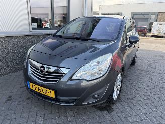 Opel Meriva 1.4 Turbo Cosmo picture 11