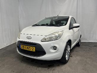 škoda osobní automobily Ford Ka Ka II Hatchback 1.2 (169.A.4000(Euro 4; Euro 5)) [51kW]  (10-2008/05-2=
016) 2010/5