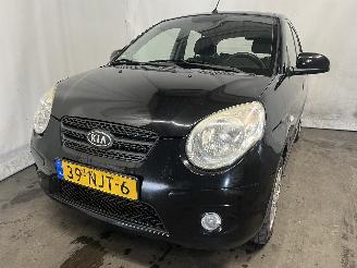škoda osobní automobily Kia Picanto Picanto (BA) Hatchback 1.0 12V (G4HE) [46kW]  (09-2007/04-2011) 2010/9