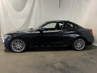 BMW 2-serie 2 serie (F22) Coupé 218i 1.5 TwinPower Turbo 12V (B38-B15A) [100kW] =
 (03-2015/06-2021) picture 4