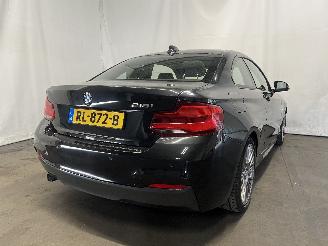 BMW 2-serie 2 serie (F22) Coupé 218i 1.5 TwinPower Turbo 12V (B38-B15A) [100kW] =
 (03-2015/06-2021) picture 5