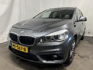 Schadeauto BMW 2-serie 2 serie Gran Tourer (F46) MPV 218i 1.5 TwinPower Turbo 12V (B38-A15A) =
[100kW]  (03-2015/...) 2016/7