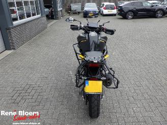 QJMotor SRT 800 SX  picture 5