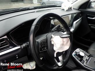 Kia e-Niro Dynamic PlusLine 64kWh picture 13