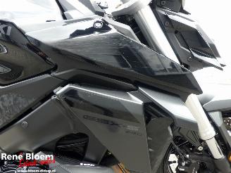 Suzuki  GSX S950 picture 21