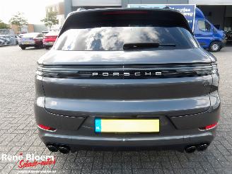Porsche Cayenne E-HYBRID 3.0 picture 3