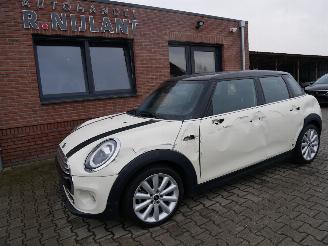 Voiture accidenté Mini Cooper CHILI LEER PANORAMADAK 2018/7