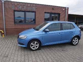 skadebil auto Skoda Fabia ACTIVE 2018/10
