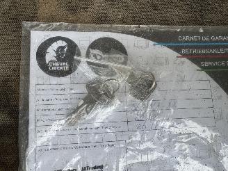 Cheval Liberte  2 paards picture 12