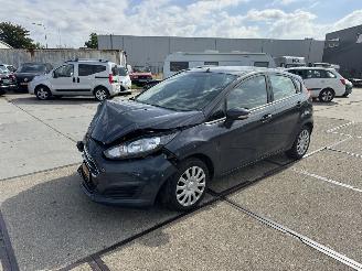 Schadeauto Ford Fiesta 1.0 Style 5 drs 2015/6