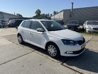 Skoda Fabia 1.4 TDI Ambition picture 2