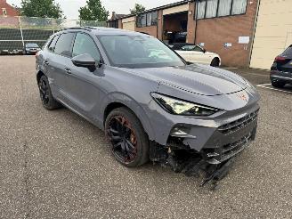 Cupra Terramar VZ 195KW PANO Kuipstoelen Vierwielaandrijving LED VOLLE picture 6