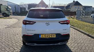 Opel Grandland X 1.6 Plug-In Hybrid picture 7