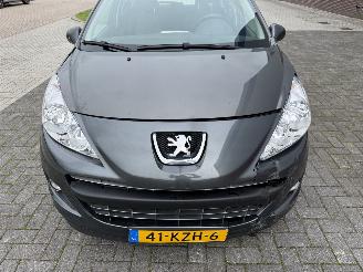 Peugeot 207 1.6 XS AUTOMAAT picture 11