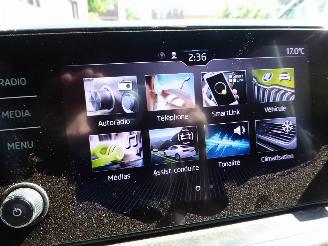 Skoda Kamiq Style picture 22