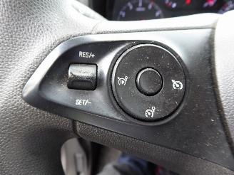 Opel Combo Cargo Edition picture 11