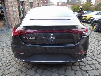 Mercedes EQE 300 picture 10