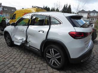 Mercedes EQA 250+ Luxury Line picture 6