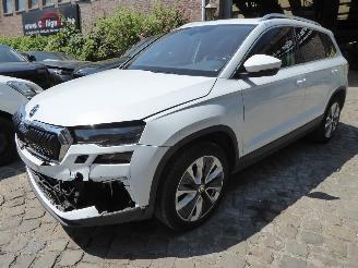  Skoda Karoq Style 2024/1