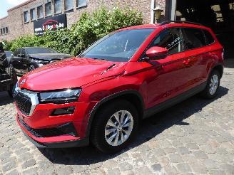 Schadeauto Skoda Karoq Selection 2024/9