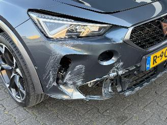 Cupra Formentor 2.0 TSI 4DRIVE 310 PK Pano Leer picture 16