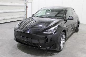 Unfallwagen Tesla Model Y  2024/12