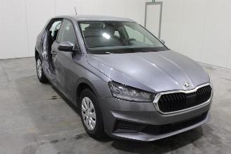 Skoda Fabia  picture 2