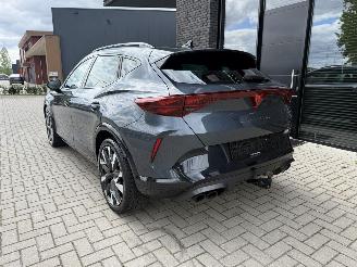 Cupra Formentor VZ NEW MOD! 2.0 TSI 4Drive 333PK DSG7 picture 14