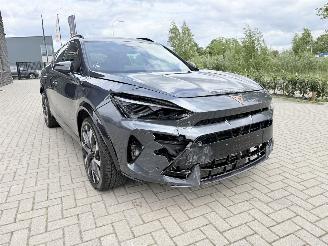 Cupra Formentor VZ NEW MOD! 2.0 TSI 4Drive 333PK DSG7 picture 6