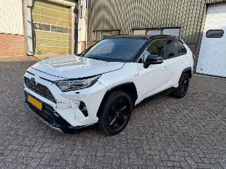 Avarii autoturisme Toyota Rav-4 2.5 Hybrid AWD Bi-Tone 2019/11
