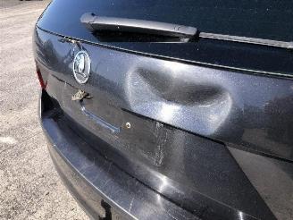 Skoda Rapid 1.6 tdi picture 10