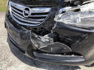 Opel Insignia 2.0 CDTI SPORT TOURER picture 19