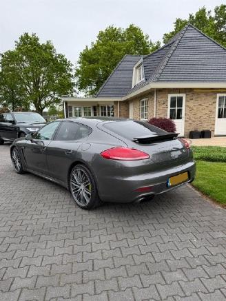 Porsche Panamera 3.0 S E-Hybrid picture 6