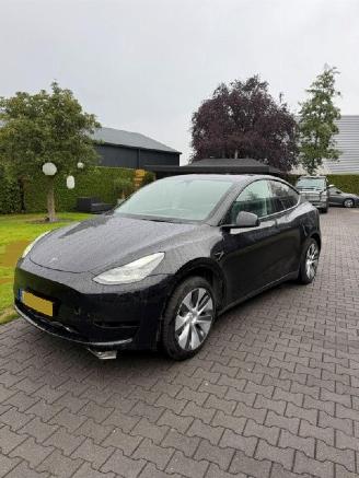 Tesla Model Y RWD 58 kwh picture 10