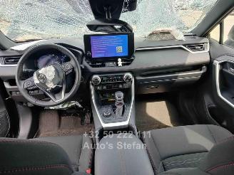 Toyota Rav-4  picture 8