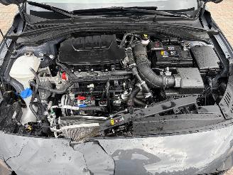Hyundai I-30 1.5 T-GDI Hybrid N Line DCT picture 12