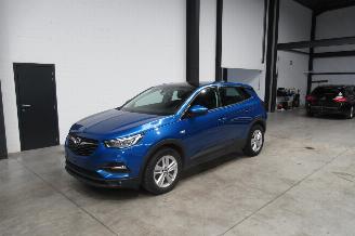 Tweedehands auto Opel Grandland SUV 2019/1