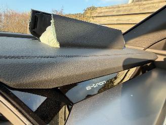 Audi SQ8 QUATTRO SPORTBACK E TRON 370 KW picture 22