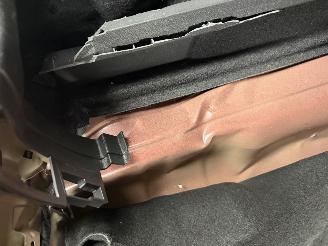 Volkswagen Golf 2.0 GTI PANO SFEER picture 22