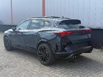 Cupra Formentor 2.0 VZ 245 KW AKRA  PANO SFEER picture 36