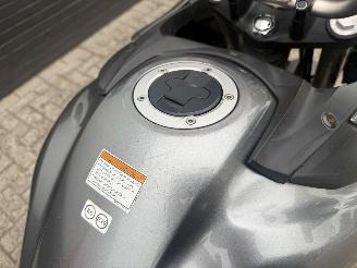 Suzuki  Suzuki All Road DL 650 V-Strom ABS picture 4