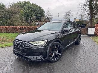 Audi E-tron e-tron 55 Quattro S-Line Camera Head-Up Display VOL picture 20