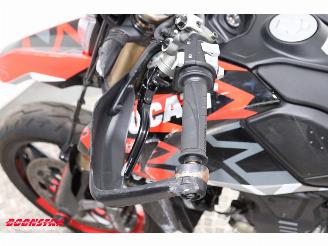 Ducati Hypermotard 698 Mono Hypermotard 698 Mono Termignoni picture 13