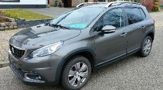 occasione autovettura Peugeot 2008 Peugeot 2008 Signature 2019/11